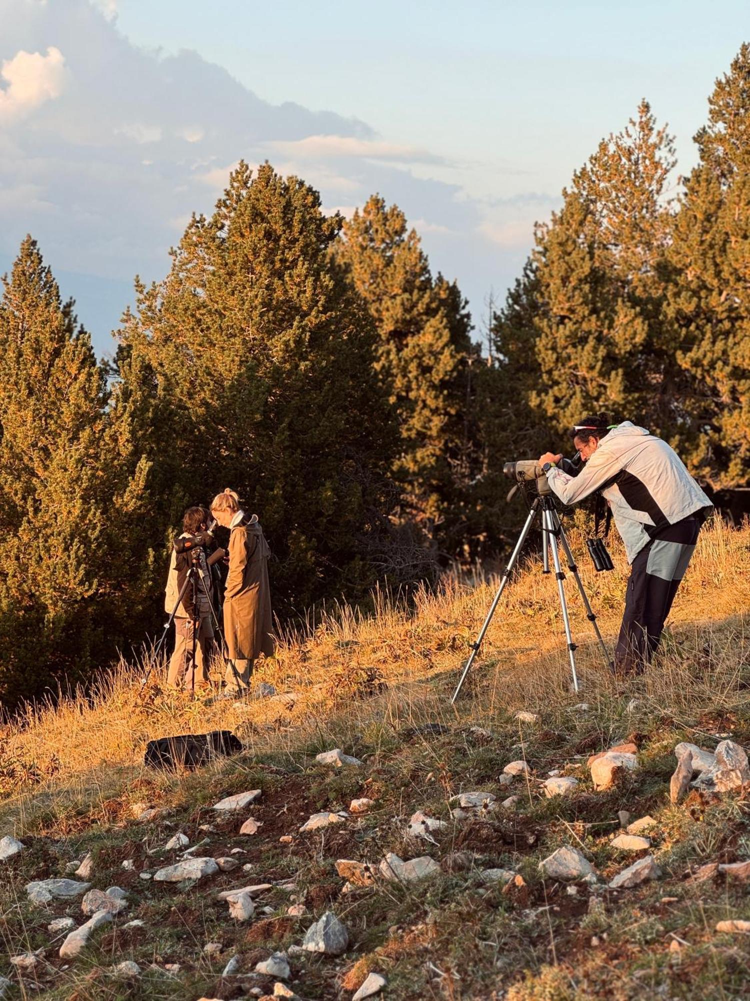 Basecamps Cerdanya 호텔 Caixans 외부 사진